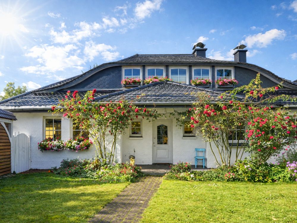 Licht, Ruhe und viel Platz zum Leben - Bild 2